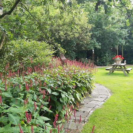 Rest En Romte Bed & Breakfast Birdaard Exterior photo